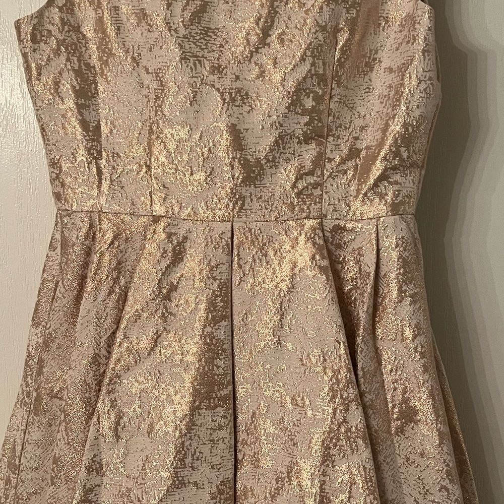 RACHEL ZOE• Gorgeous Daria Dress ✨✨✨ Fit & Flare Mini - Picture 5 of 7